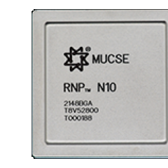 RNP N10